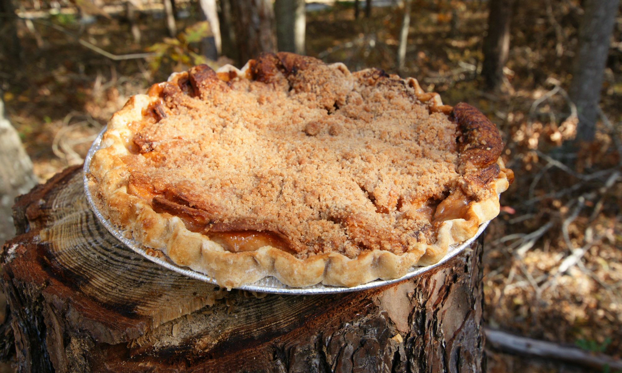 Apple Crumb Pie